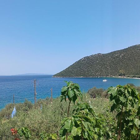 Studios Zaritsi Tirós Dış mekan fotoğraf