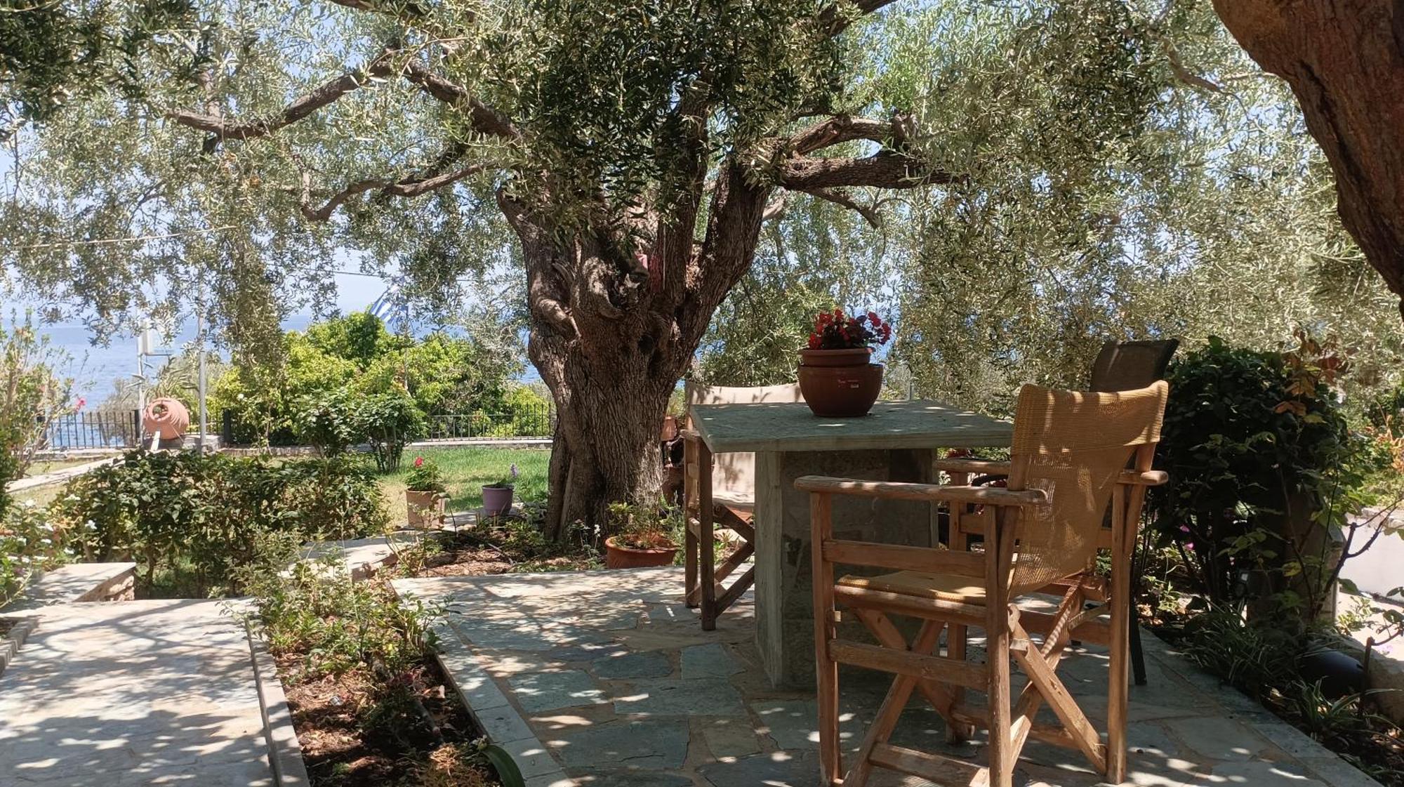 Studios Zaritsi Tirós Dış mekan fotoğraf