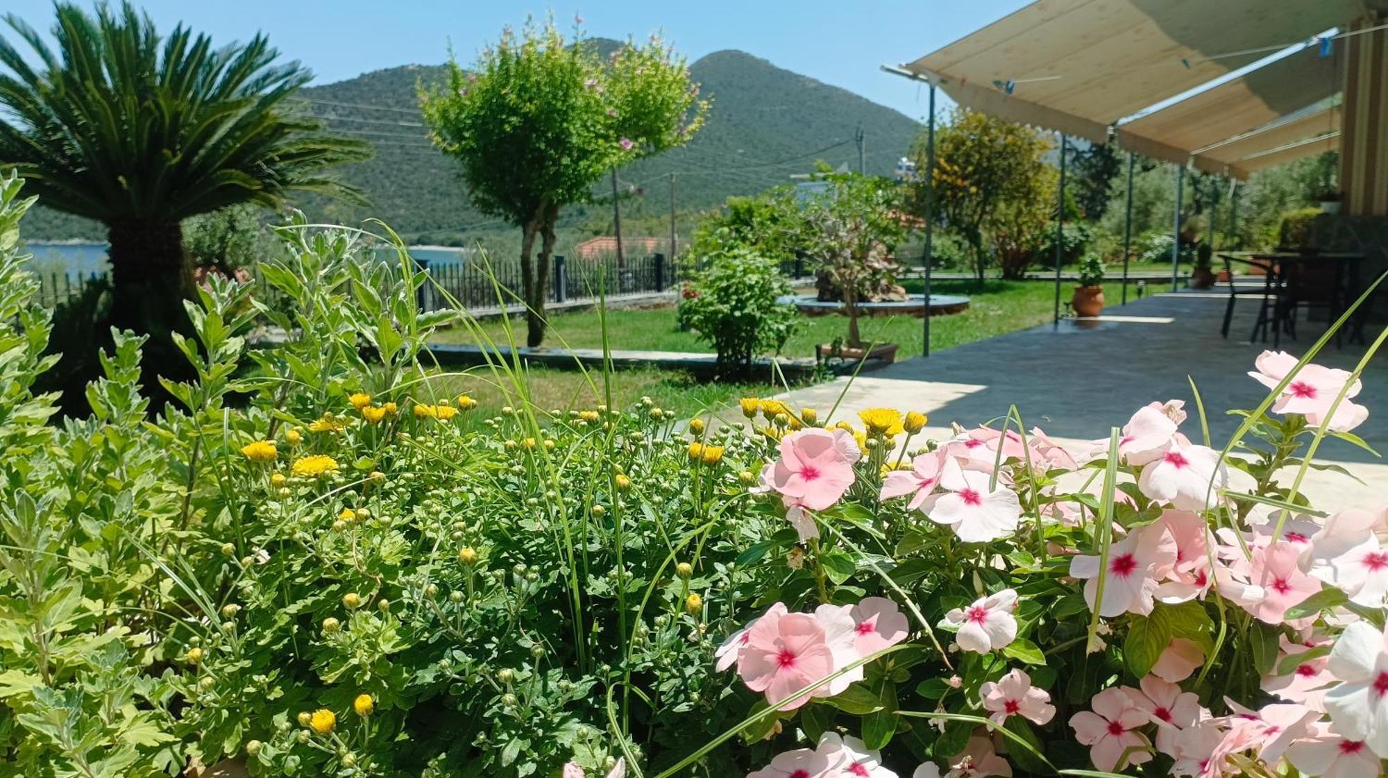 Studios Zaritsi Tirós Dış mekan fotoğraf