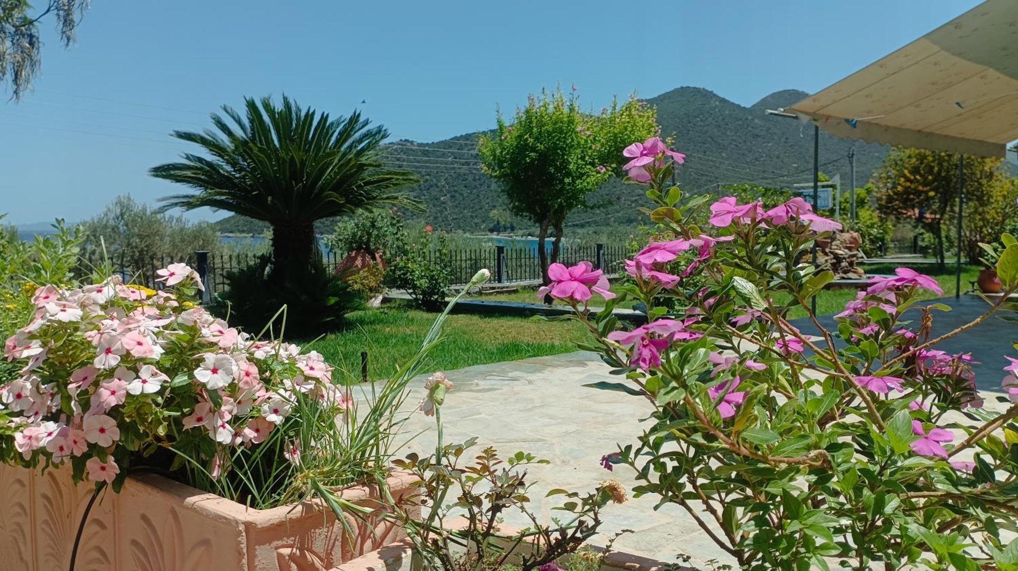 Studios Zaritsi Tirós Dış mekan fotoğraf